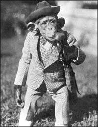 Chimpanzee dressed as science professor